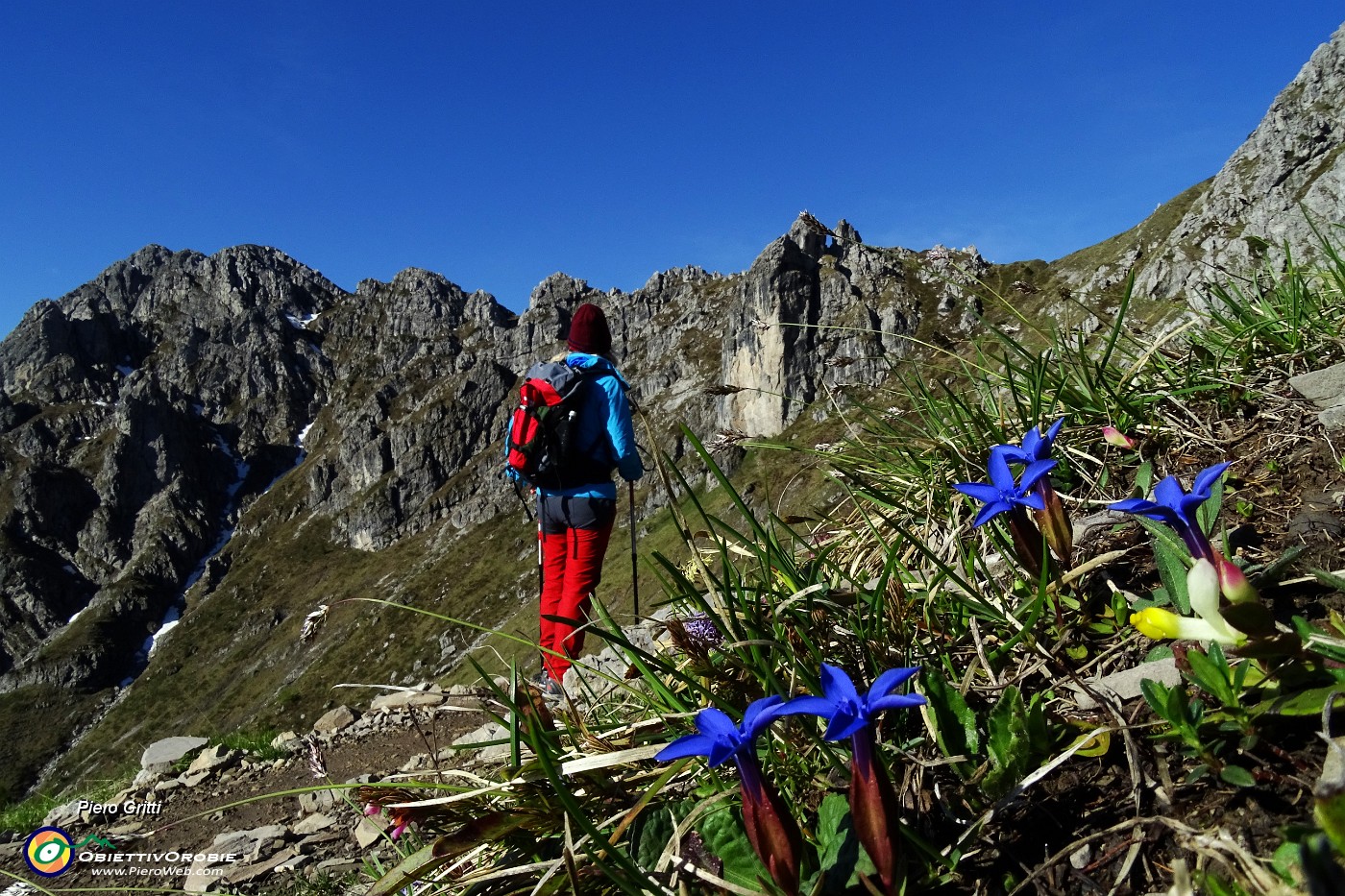 18 Gentiana verna (Genziana primaticcia).JPG -                                